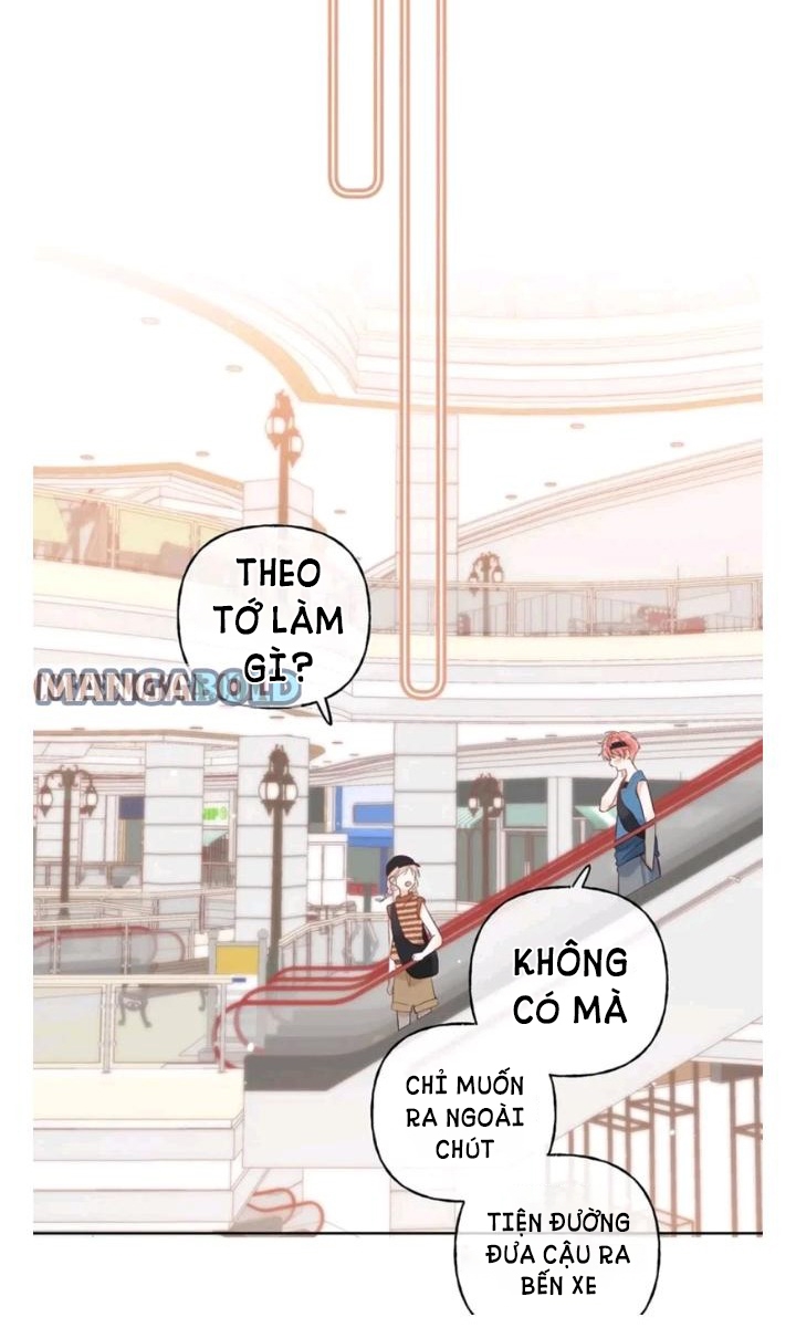 vụng trộm không thể giấu - mối tình thầm kín chapter 20 44