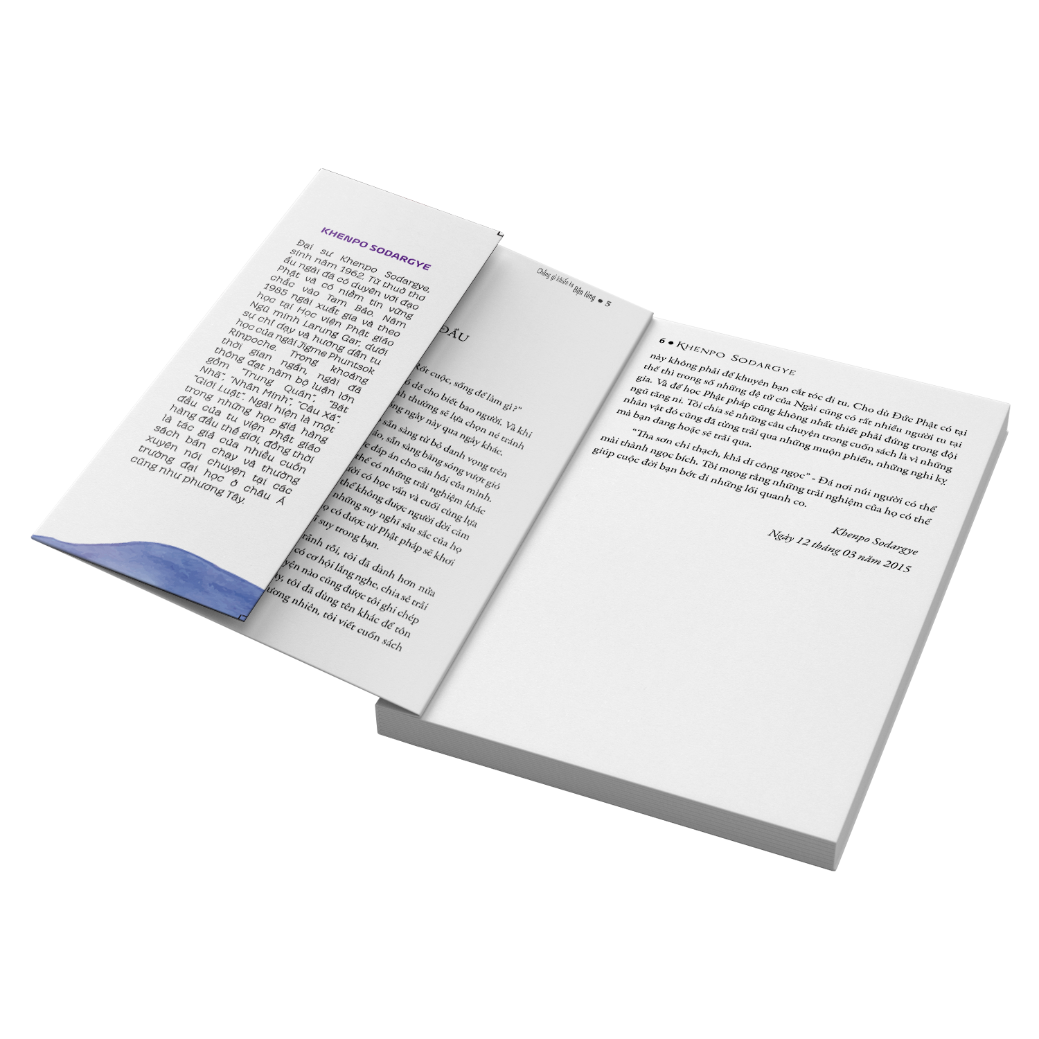 Sách Chẳng Gì Khiến Ta Bận Lòng - Sách Tôn Giáo, Nghệ Thuật Văn Hóa, Tác Giả KHENPO SODARGYE - Á Châu Books, bìa mềm, in màu