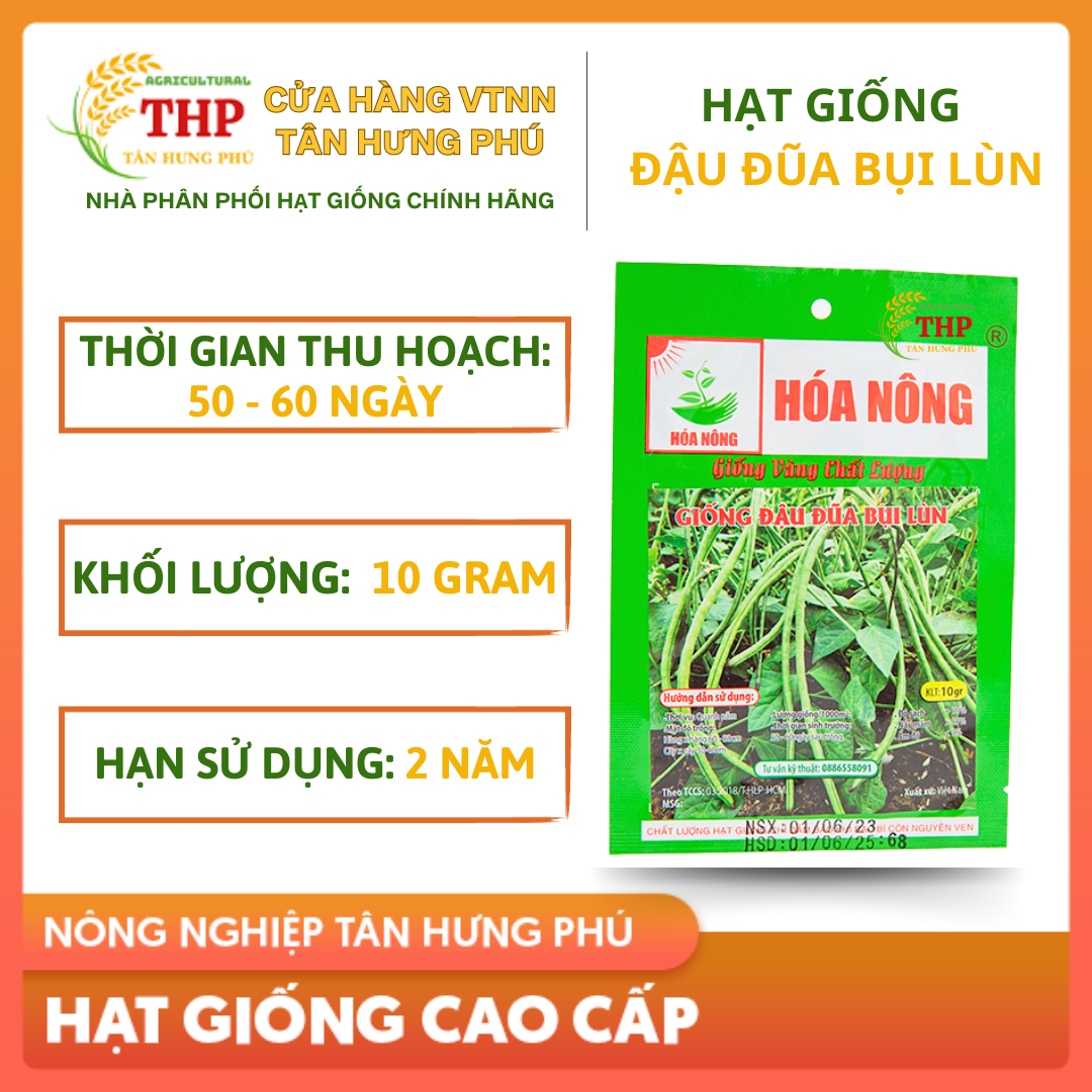 Hạt giống Đậu Đũa Bụi Lùn gói 10gr