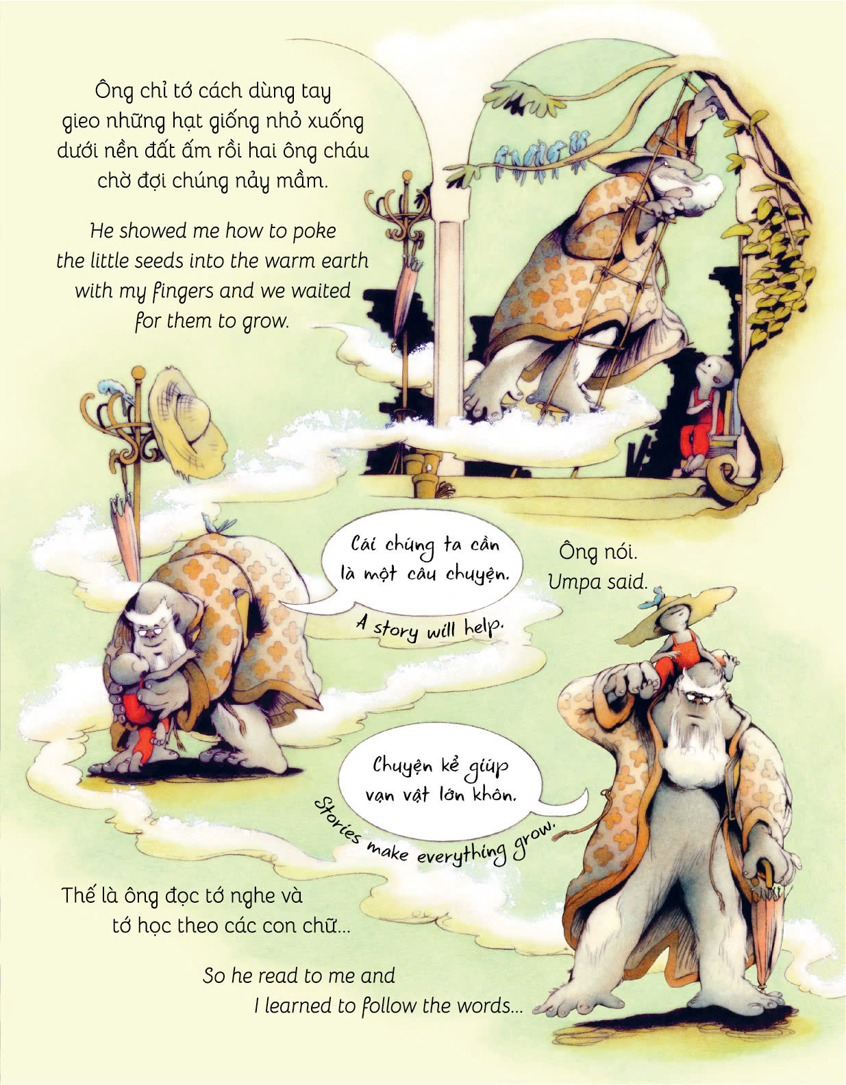KHU RỪNG TRÊN MÂY - Victoria Turnbull   – San Hô Books