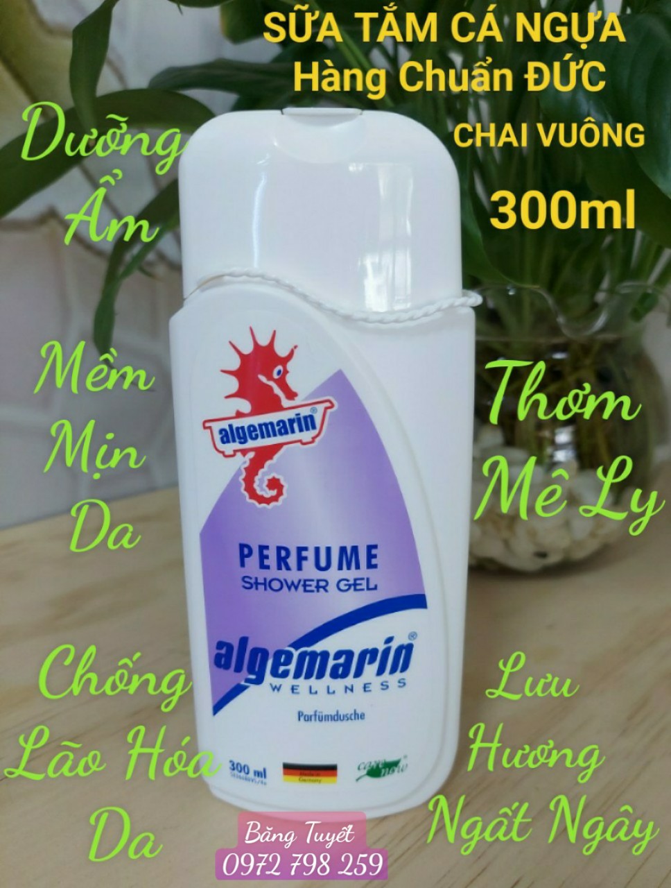 Sữa tắm cá ngựa ALGEMARIN 300ML CHAI VUÔNG ( ĐỨC )  hải mã, hương nước hoa