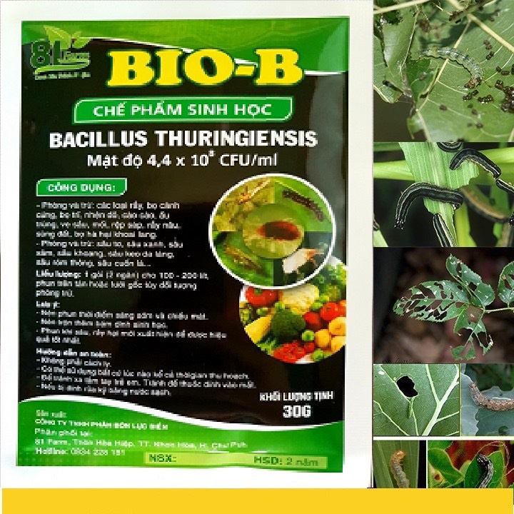 Chế phẩm sinh học công nghệ cao Bio-B , Diệt sâu bọ ,rầy, rệp ,nhện , hiệu lực cao