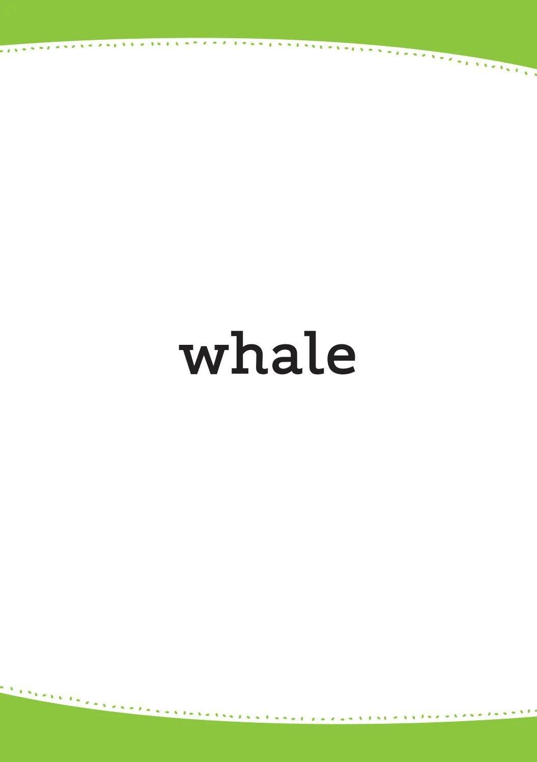 Sách ngoại văn: Words In Pictures (Printed Flashcards With Digital Code)