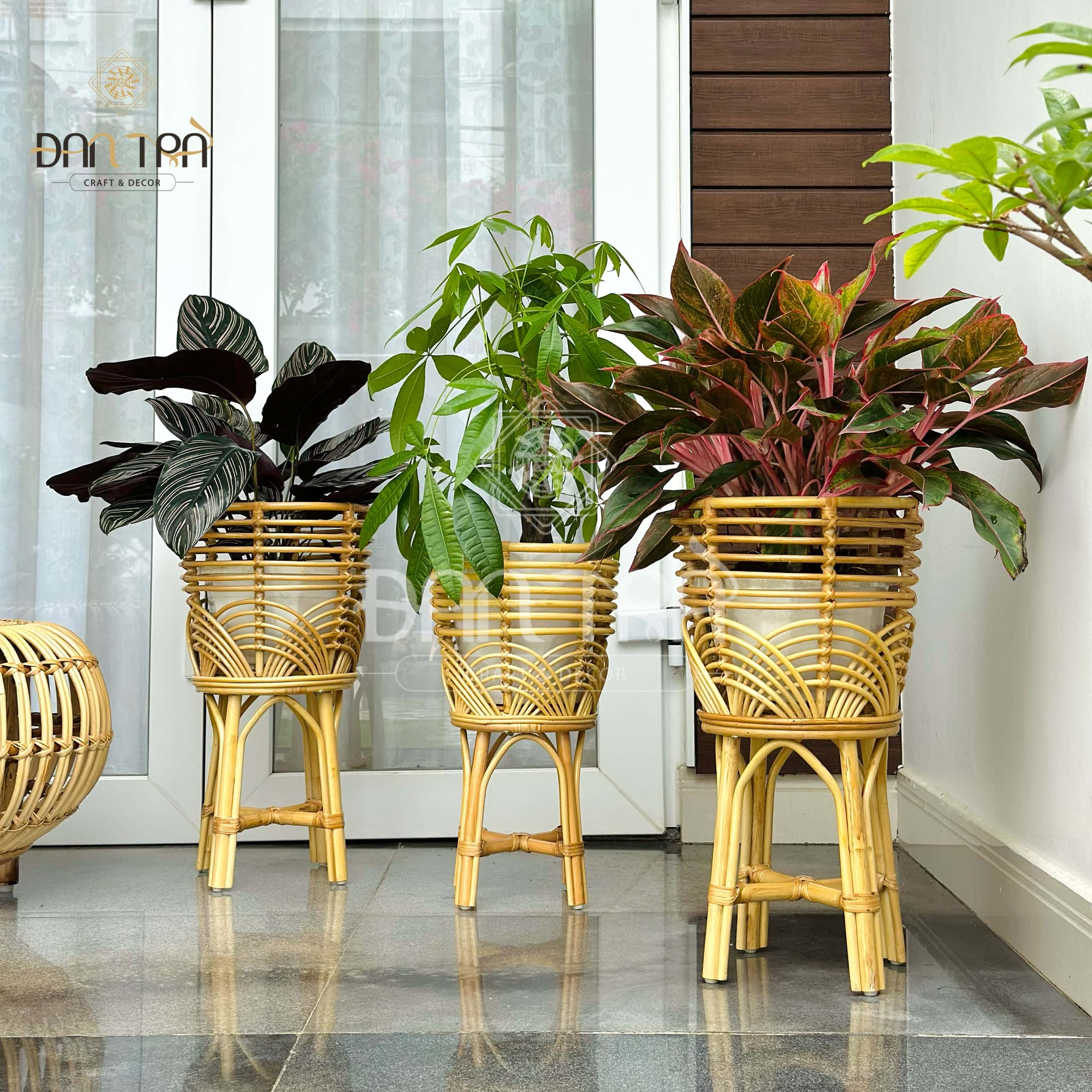 Kệ Mây Đựng Cây Đan Trà - Kệ Mây Trang Trí Đan Trà- Kệ Mây Decor Không Gian Xanh- Đan Trà Decor