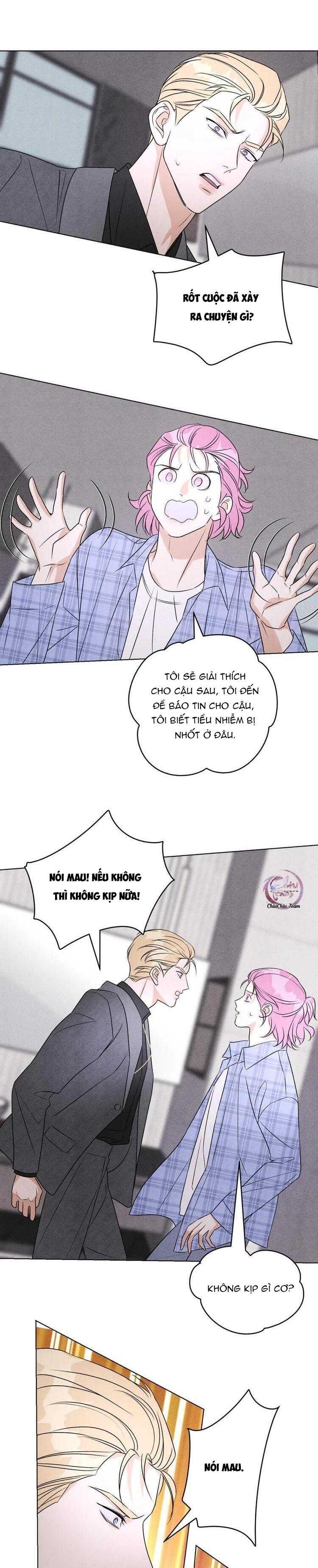 anh trai rẻ tiền của tôi chapter 56 13