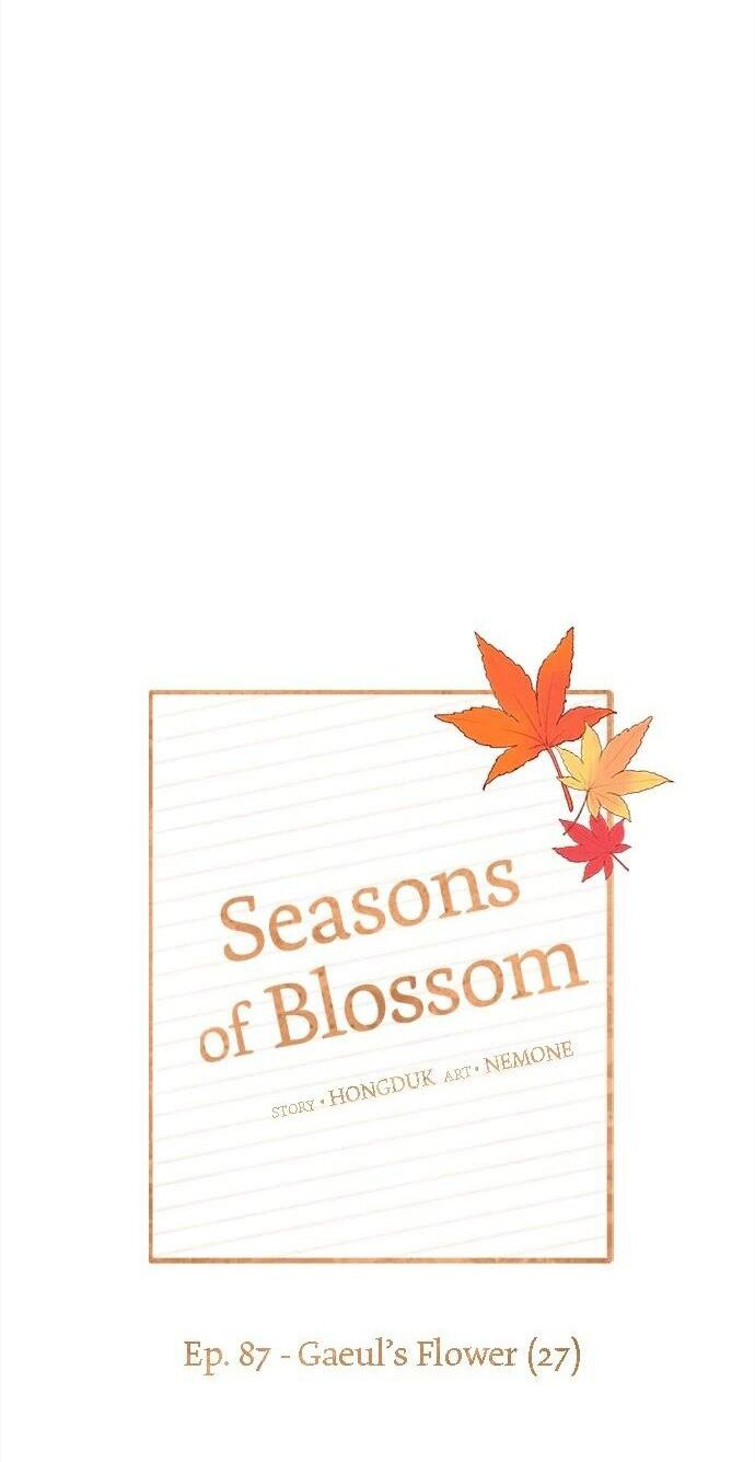 thanh xuân rực rỡ - season of blossom chapter 87 36