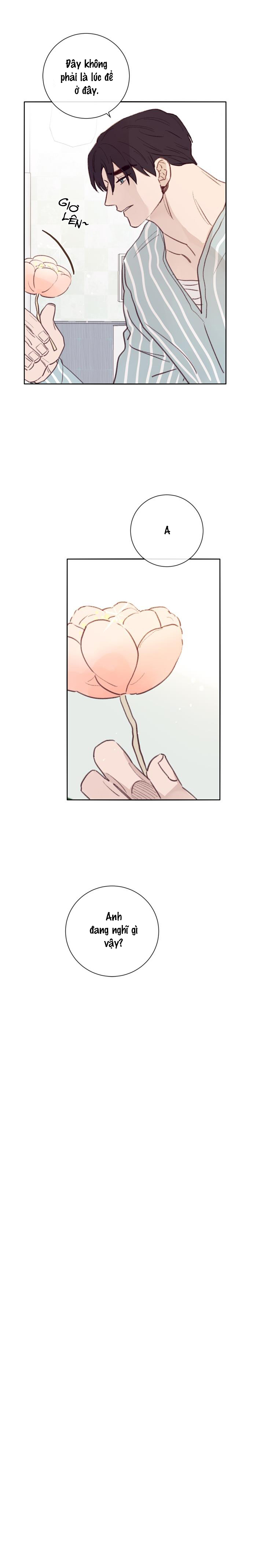 độc dược (marcel) chapter 6 3