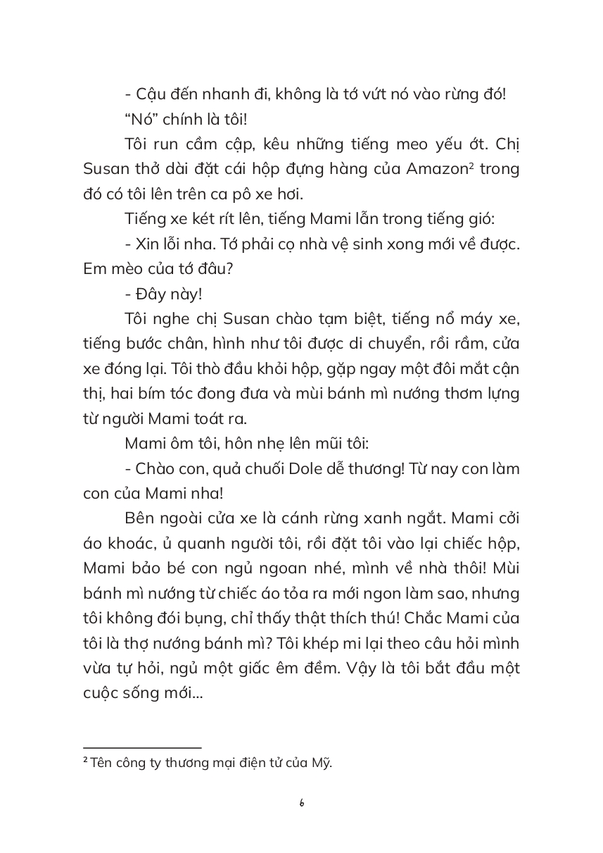 Mùa Hè Có Tuyết