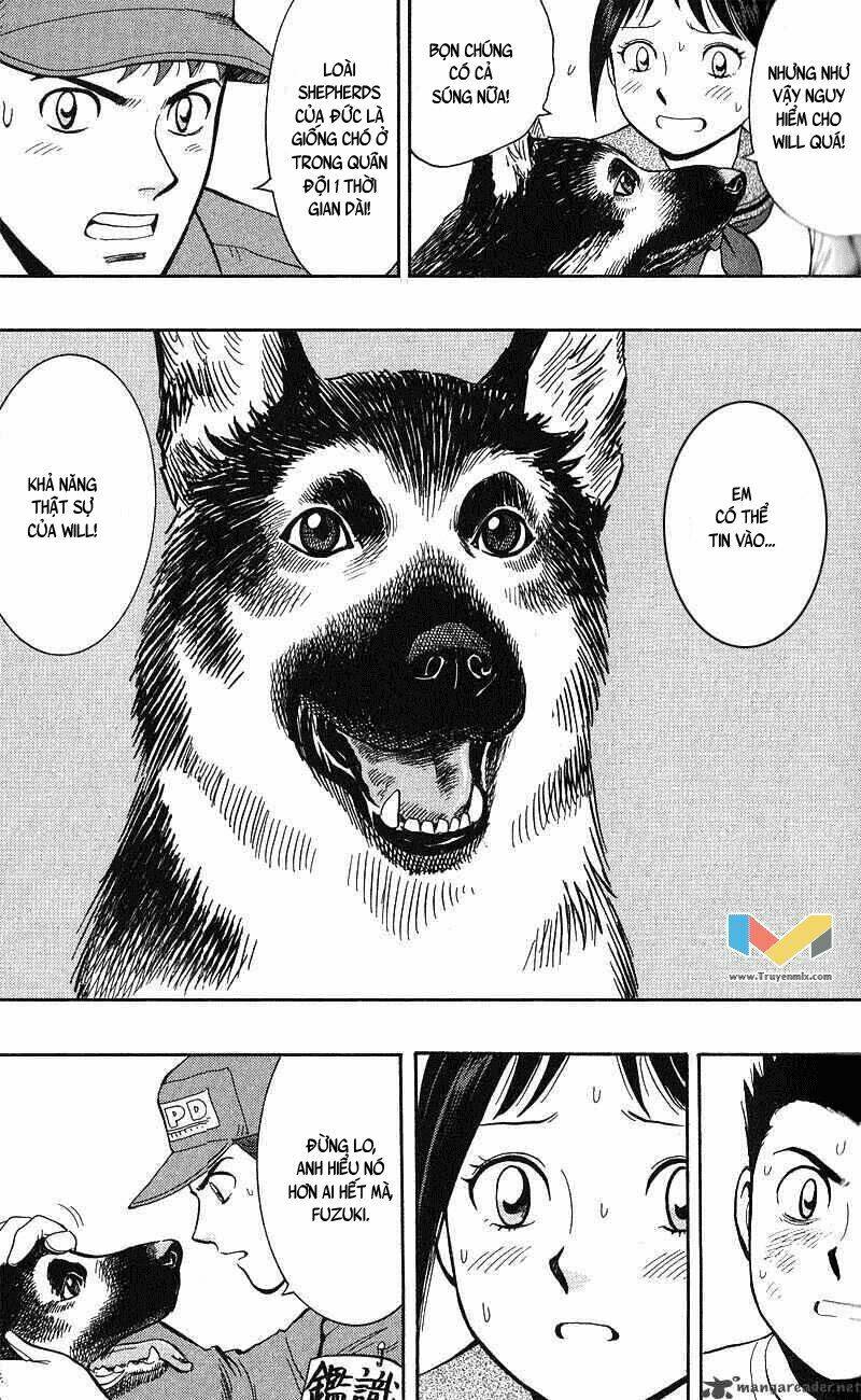 animal sense chapter 12 17