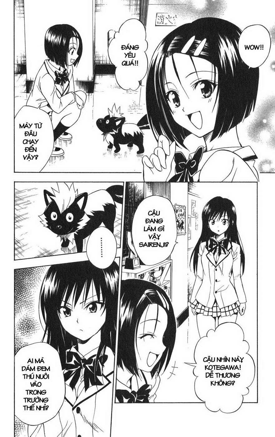 bọn tớ thích cậu! rito chapter 85 9