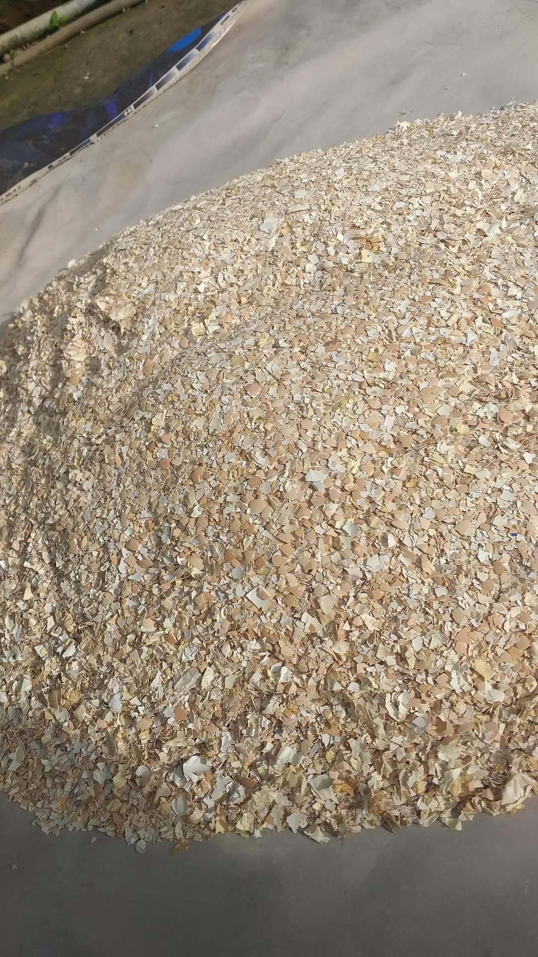 VỎ TRỨNG GÀ SFARM ĐÃ QUA XỬ LÝ - TÚI 1KG