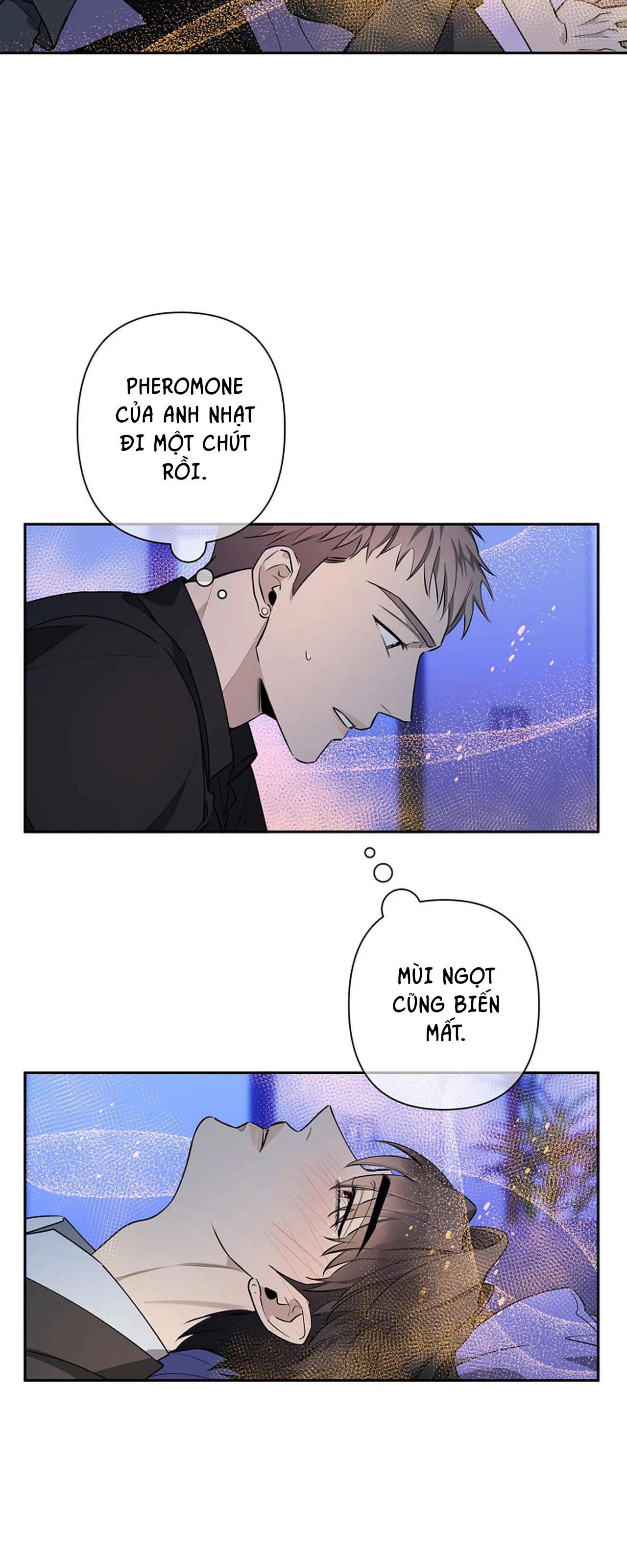 đêm dịu dàng chapter 38 34