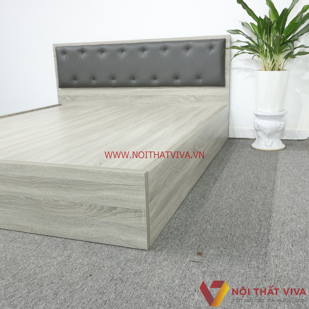 Giường Ngủ Gỗ MDF Melamine Màu Xám Vân Gỗ Có Đầu Nệm Đen Đẹp Hiện Đại