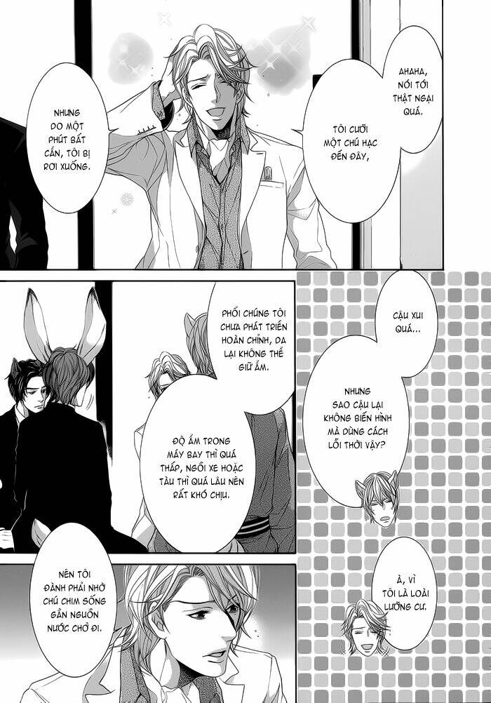 oinarisama no honey bunny chapter 8 7