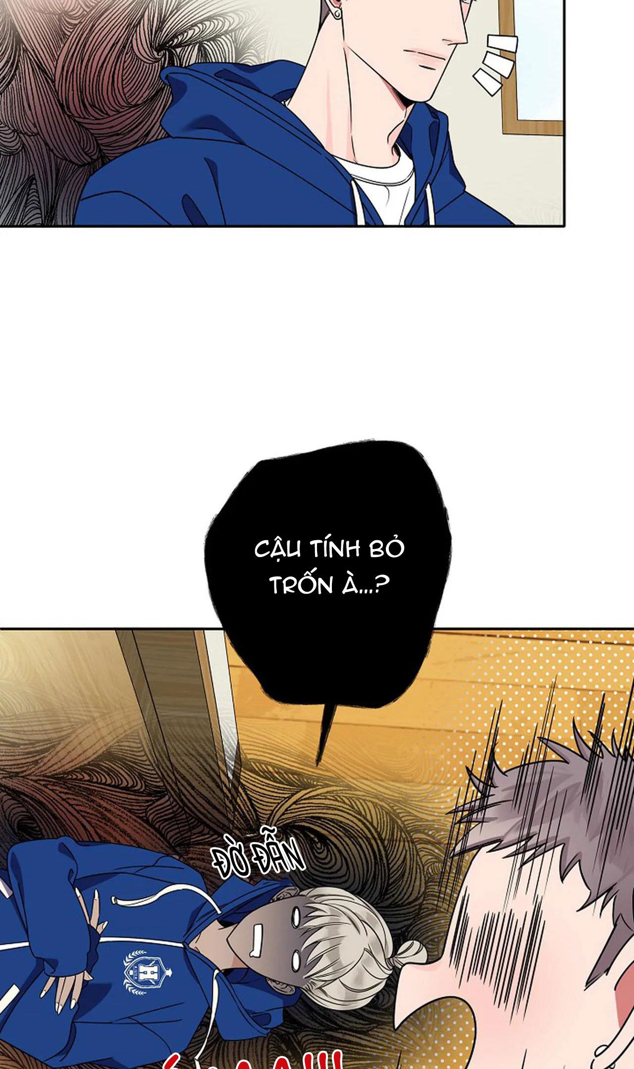 đêm dịu dàng chapter 17 5