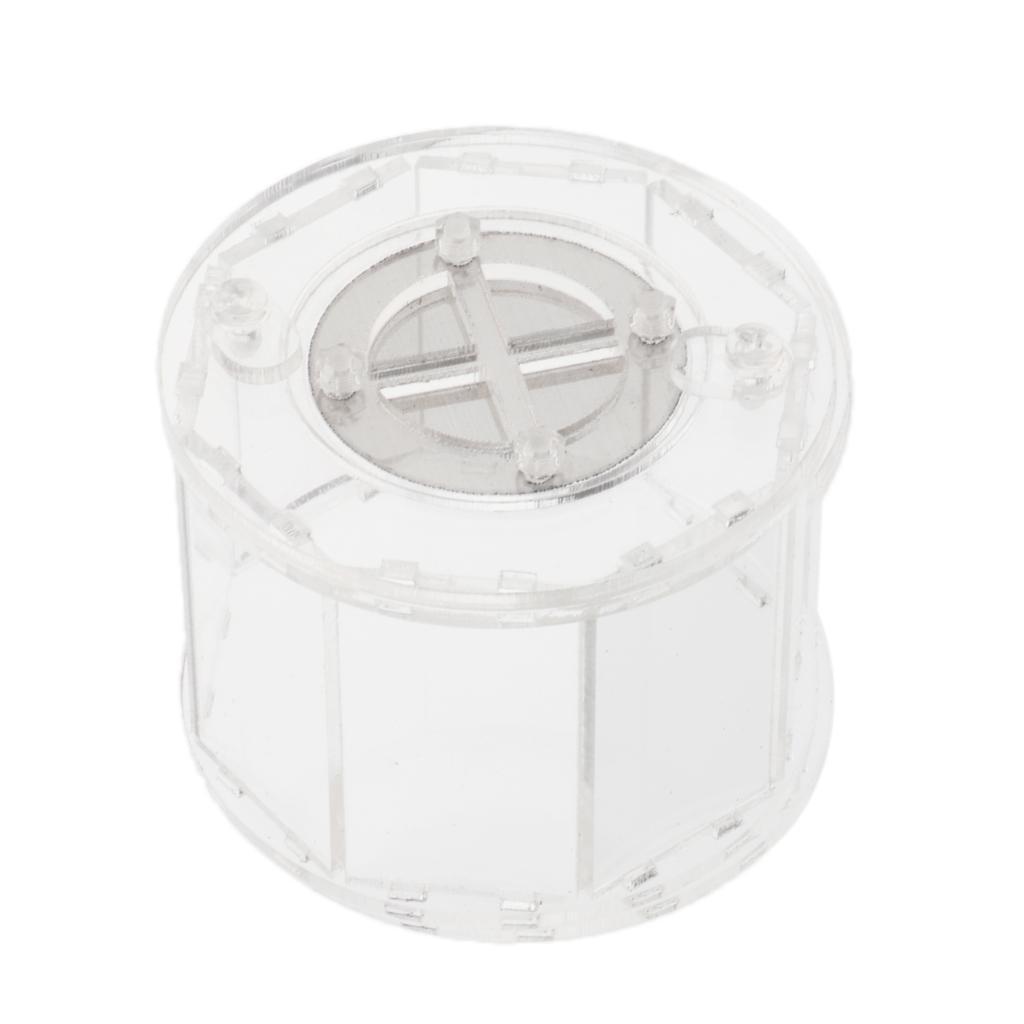 Spider  Reptile Vivarium Cage Box Transparent Acrylic Terrarium