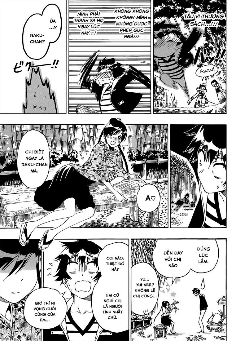 nisekoi - tình yêu giả tạo chapter 173 14