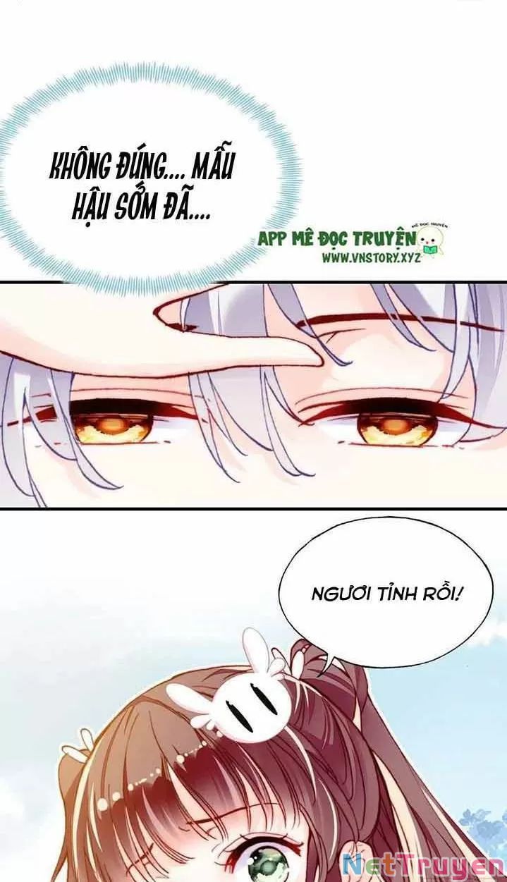 lại bị bệnh chiều chuộng quấn lấy chapter 15 29