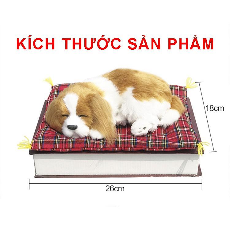 Thú cưng trang trí kết hợp tham than hoạt tính lọc không khí và khử mùi ô tô