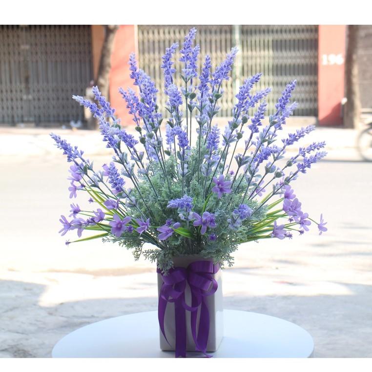 Cành hoa lavender tím phủ phấn