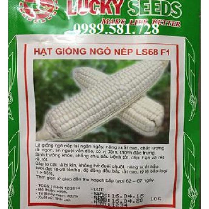 Hạt Giống Bắp Nếp Nù -Gói 100gr