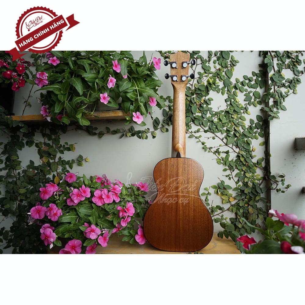 Đàn Ukulele Valote Dòng Concert VA 24M01, 24M02, 24R01 Cao Cấp Tông Nhạc Dày Âm Thanh Trong Trẻo