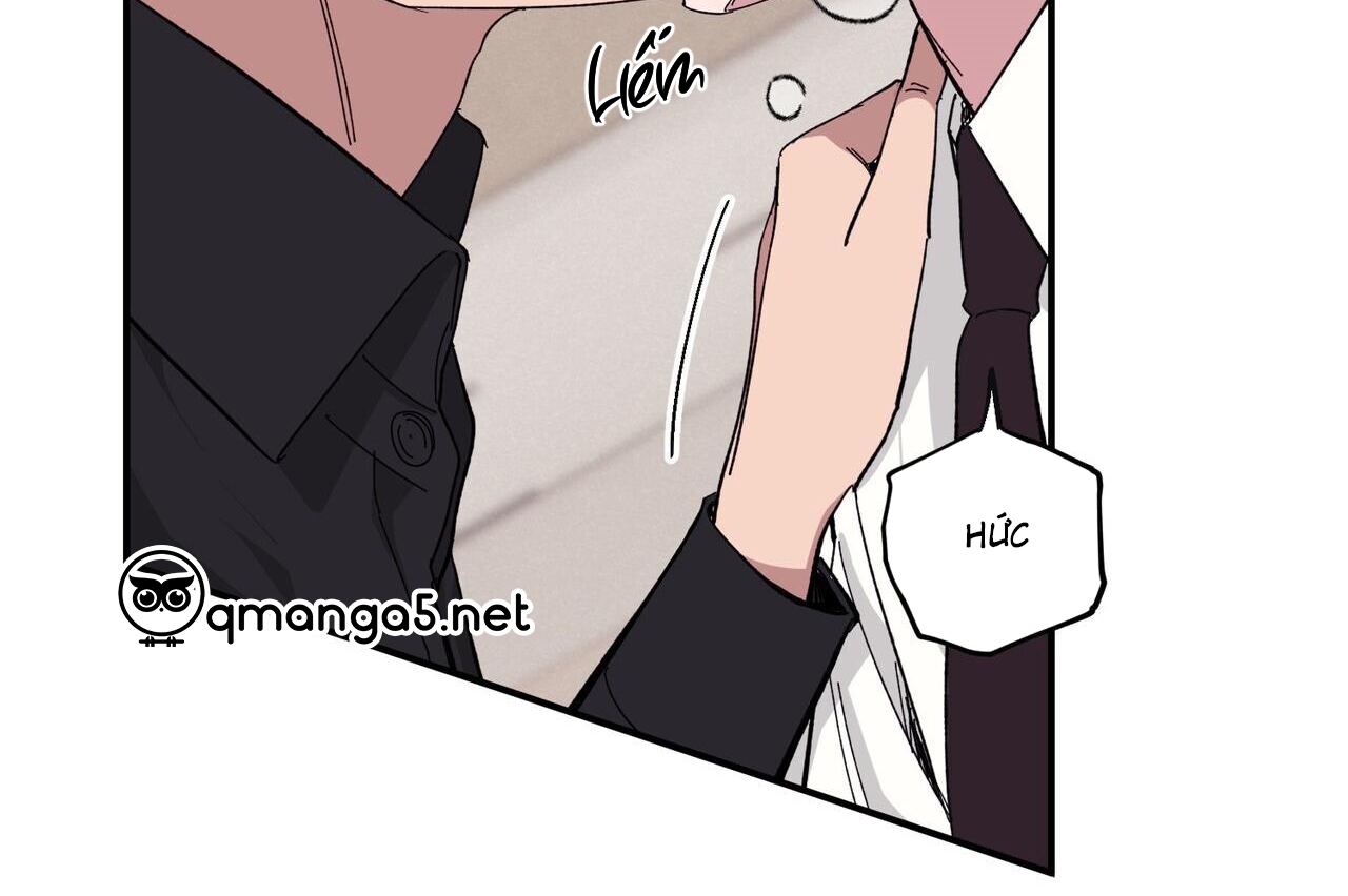 chàng dâu nhà họ kang chapter 33 177