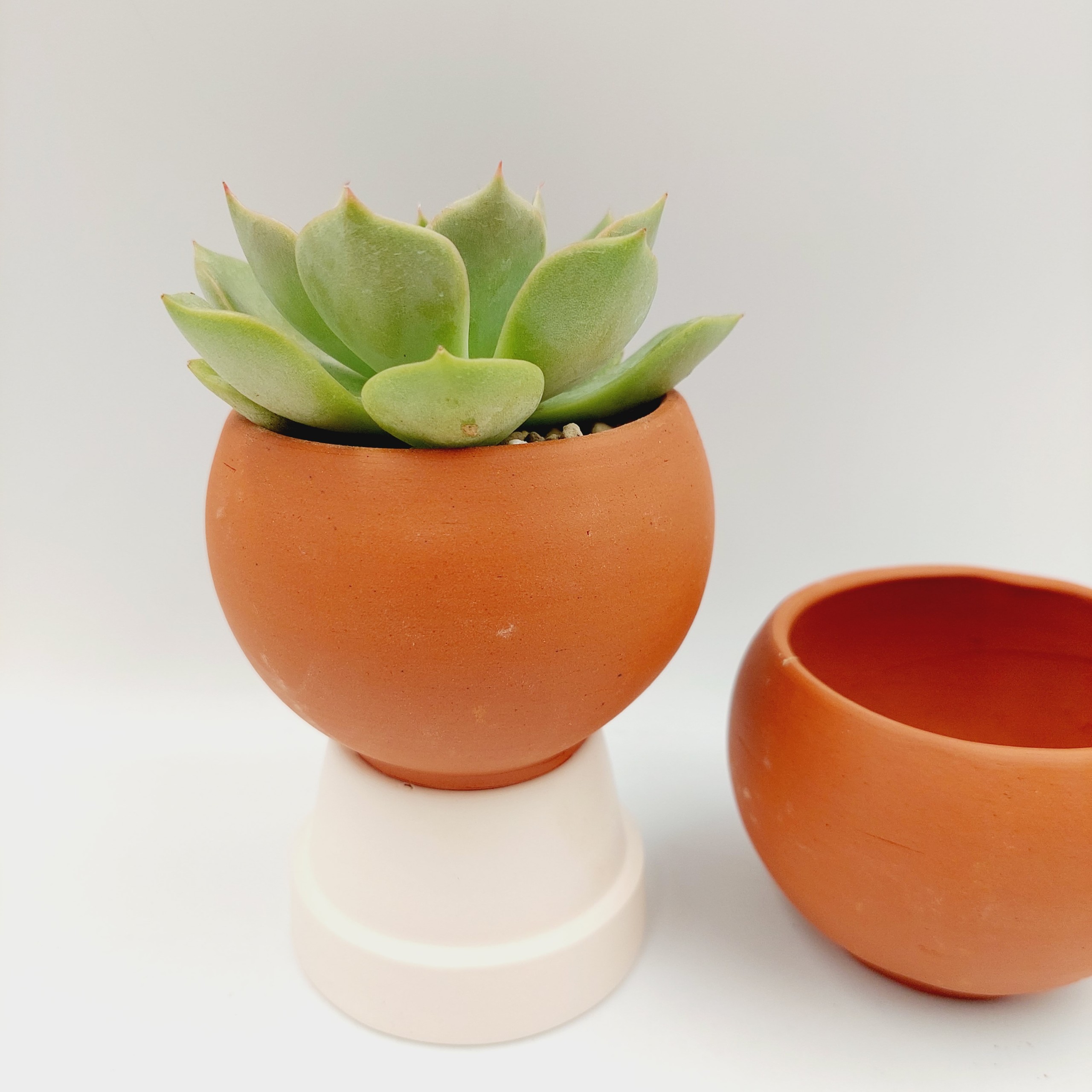 Chậu đất nung, chậu sen đá - Trái banh mini 76 , miệng chậu 7cm, chiều cao 6cm