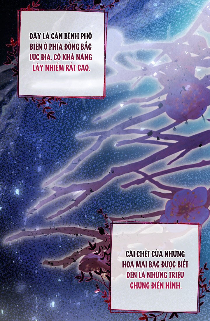 cách che giấu đứa con của hoàng đế chapter 19 2