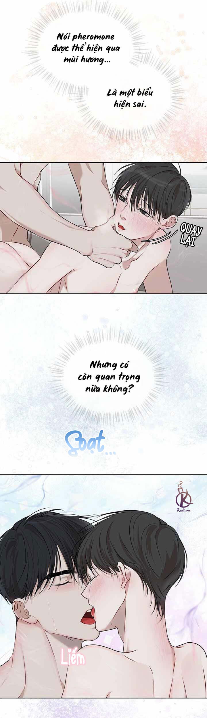 hình thái khởi sinh chapter 23 24