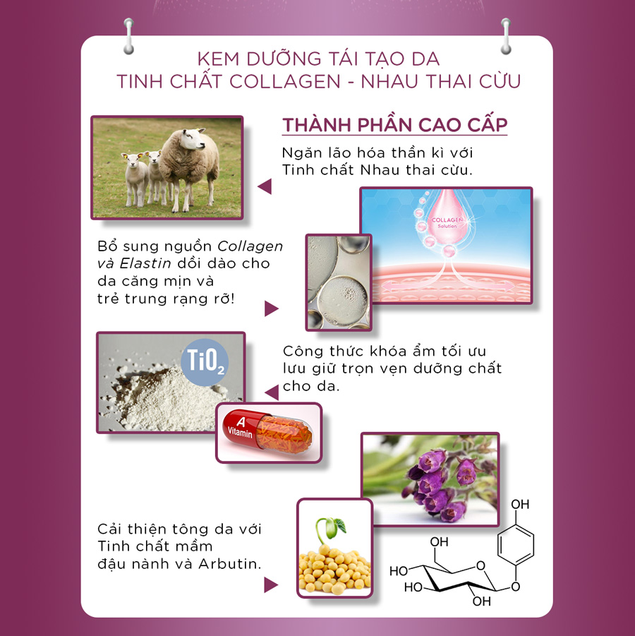 Kem Dưỡng Da Chống Lão Hóa Tinh Chất Collagen Miss Fairy (15g)