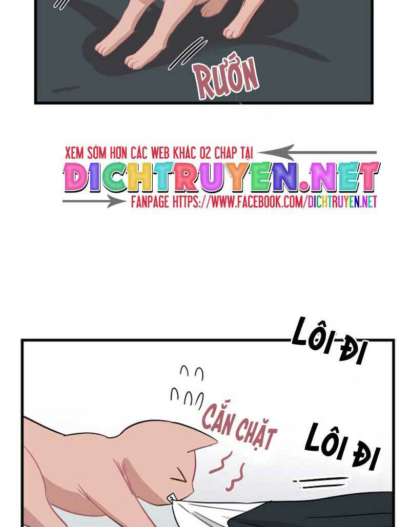 cuộc sống kỳ thú chapter 8 36