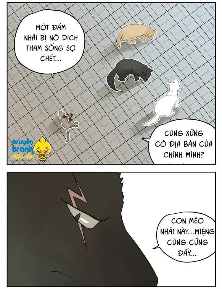 cứu mạng ! loài mèo thống trị thế giới rồi ! chapter 25 19