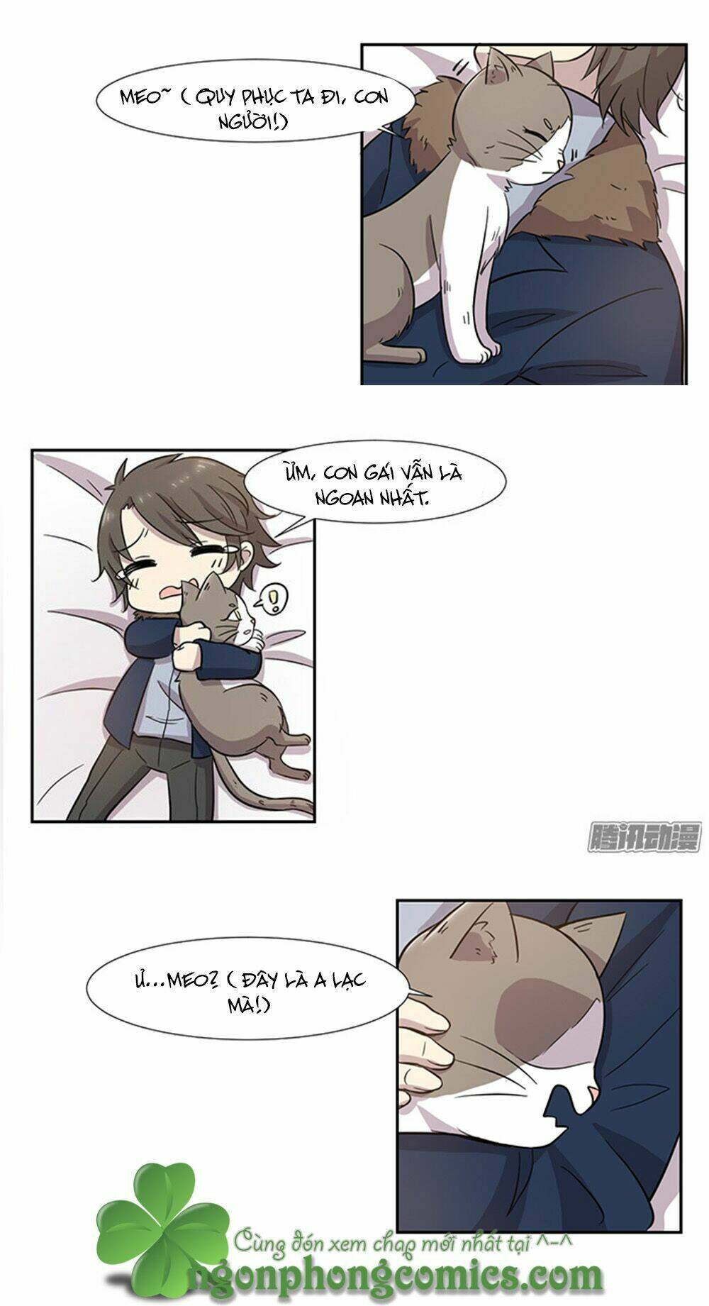 hai chú mèo totem chapter 28 13