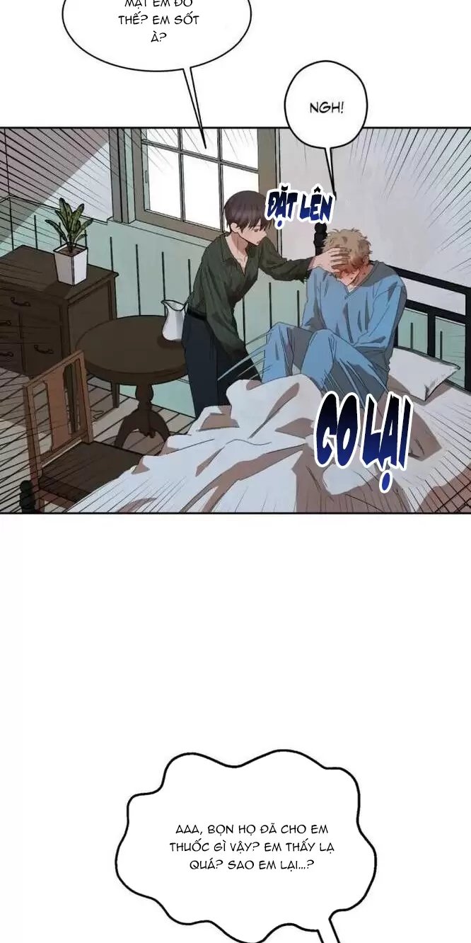 liveta chapter 31 67