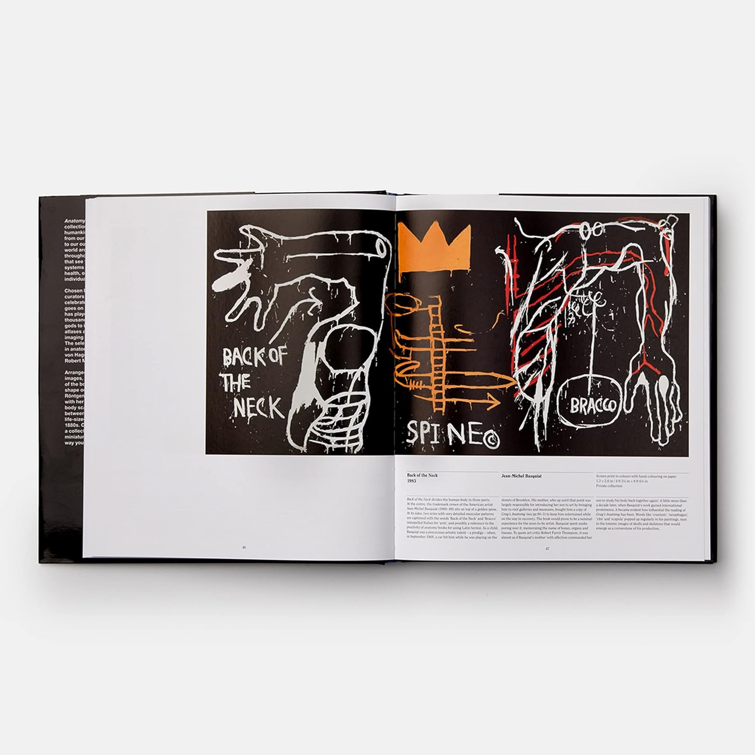 Anatomy