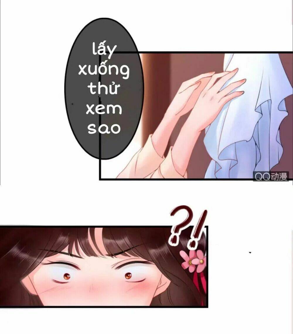sủng phi của vương chapter 28 27