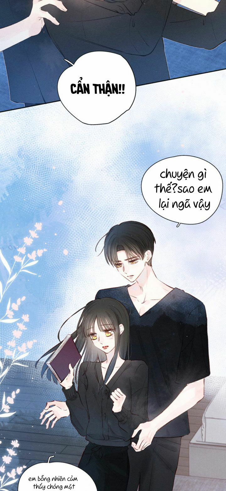 nỗi buồn của hoa cẩm tú cầu chapter 43 5