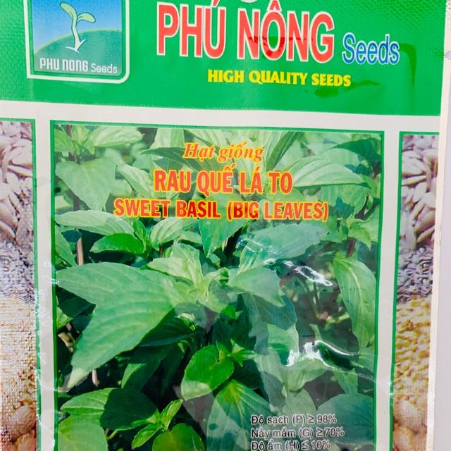 Hạt giống húng quế