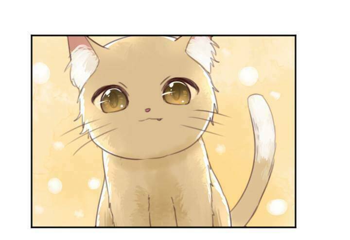 thiên thần đừng trêu chọc tôi chapter 4 13