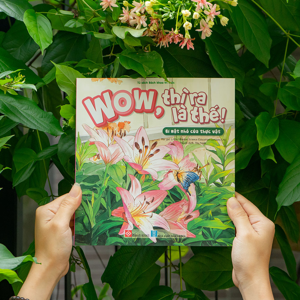 Wow, thì ra là thế! - Bí mật nhỏ của thực vật