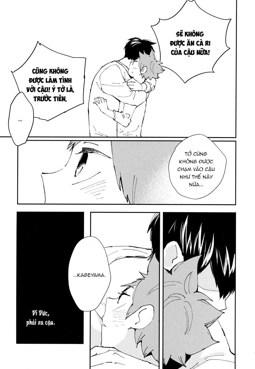 tuyển tập haikyuu dj by dammei bl chapter 22 9