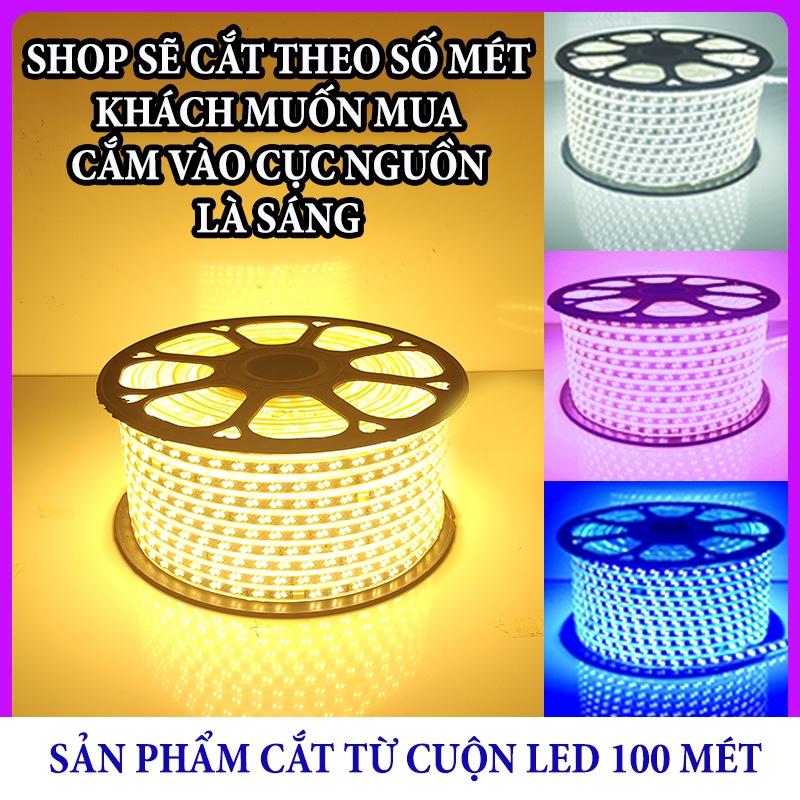 Đèn Led Dây Đôi ̂ ̂́ ̛̛́ Dây Led 2 hàng Cuốn Cây, Hắt Trần Có Nhiều Màu Lựa Chọn