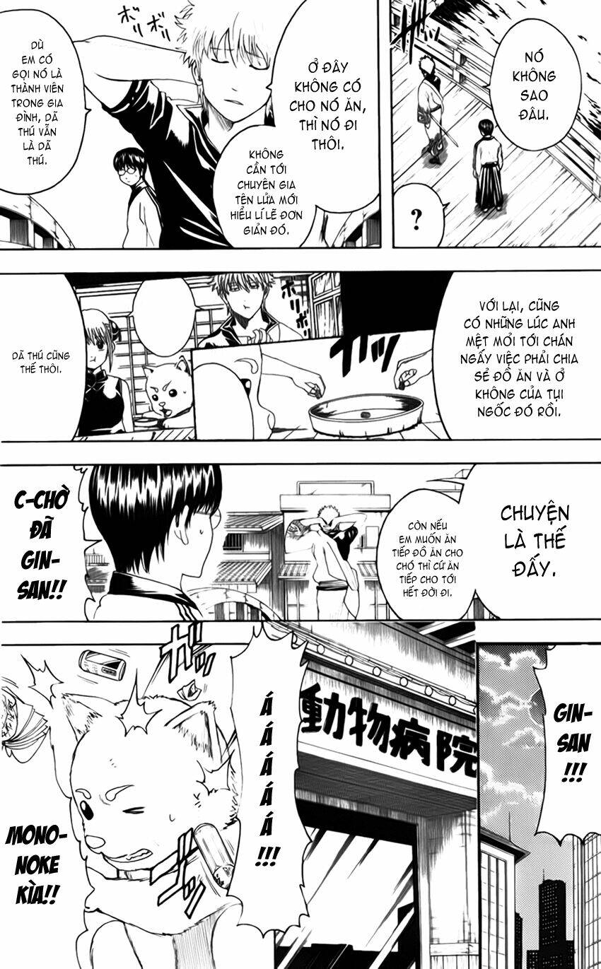 gintama - linh hồn bạc chapter 402 5