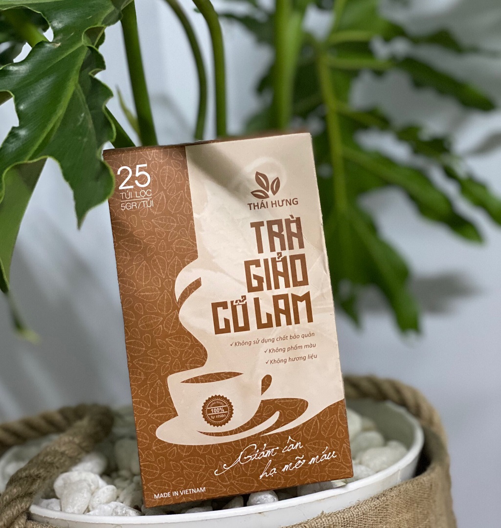 Combo 10 túi Trà Giảo cổ lam Thái Hưng giảm cân, hạ mỡ máu 25 túi lọc x 5g