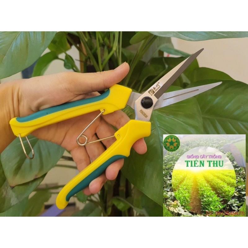 KÉO CẮT TỈA DĂM, TỈA LÁ, THU HOẠCH QUẢ