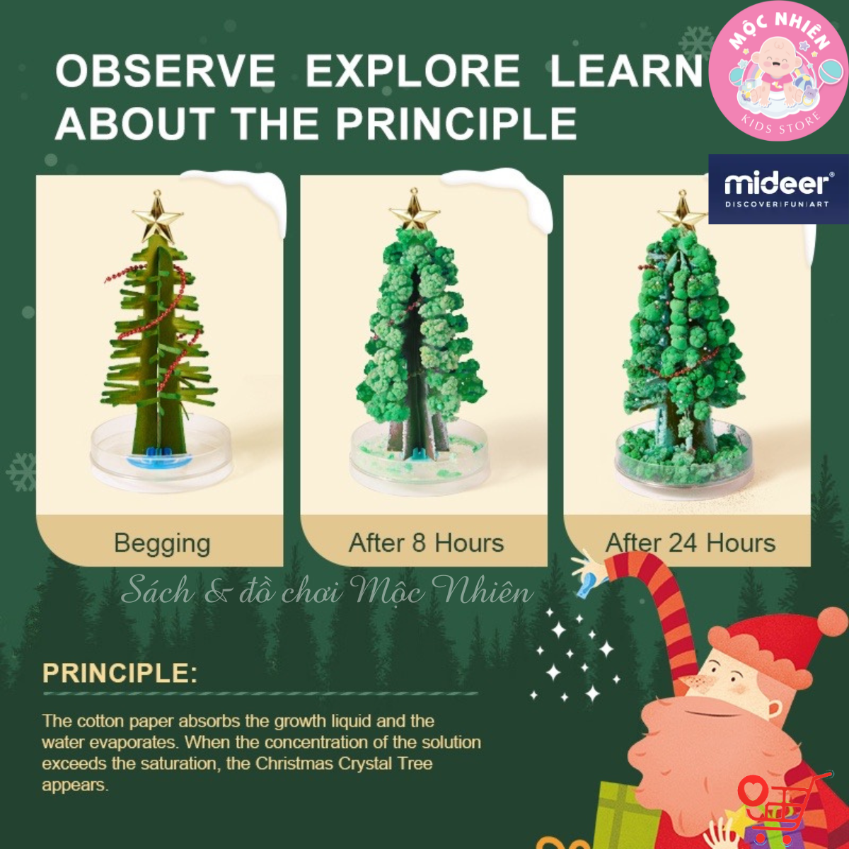 Cây thông Noel Mini để bàn phủ tuyết tự nở thần kỳ - Mideer Magic Christmas Tree - Quà Giáng sinh 2022 cho bé