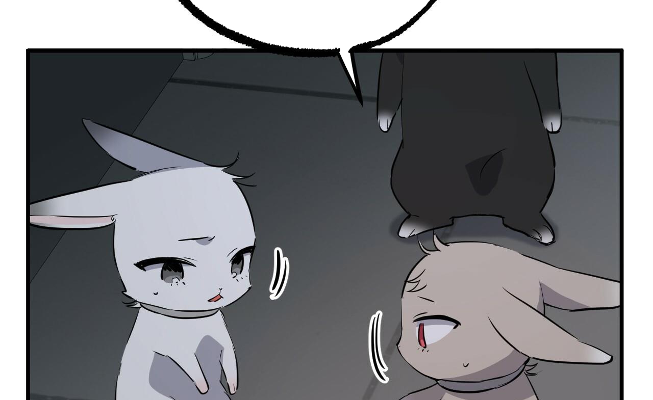 đàn thỏ của habibi chapter 46 59