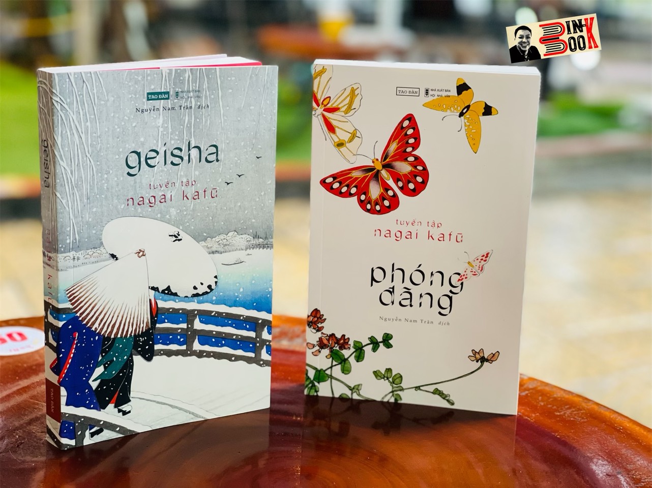 (Combo 2 cuốn Tuyển tập Nagai Kafu)  PHÓNG ĐÃNG (tập 1) - GEISHA (tập 2) - Nguyễn Nam Trân dịch – Tao Đàn – NXB Hội Nhà Văn (bìa mềm)  