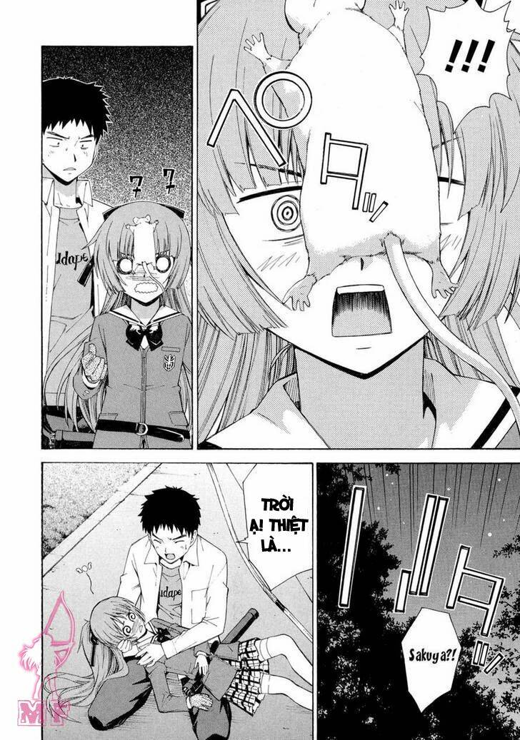 isuca chapter 11 8
